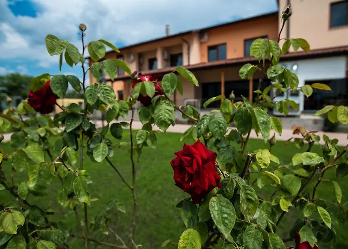 Kompleks Raiski Kat 汽车旅馆